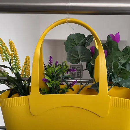 Couette-café Il Corso Di Silvia 4*