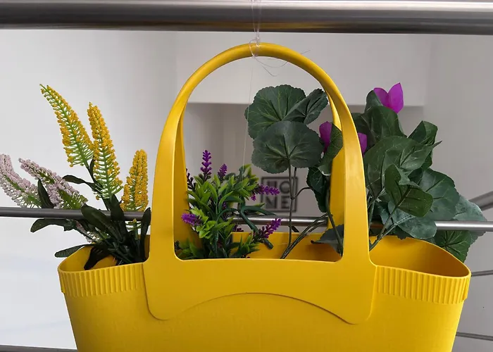 Bed & Breakfast Il Corso Di Silvia 4*